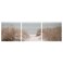 Picture Swedish Sand Dunes 56X56 Cm 3 In Pack