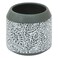 Arboria Ceramic Toothbrush Holder (Green, Dia. 9 x 9 cm)