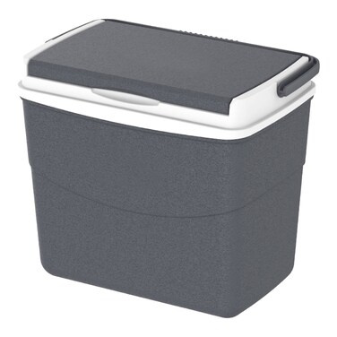 Picnic Ice Box (10 L)
