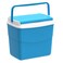Picnic Icebox (10 L, 35 x 23 x 31 cm)