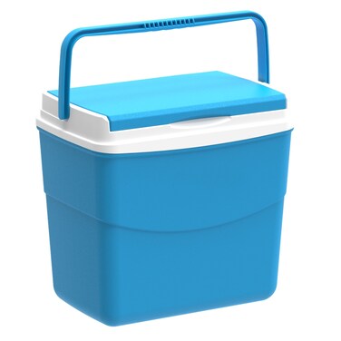 Picnic Icebox (20 L, 41 x 28 x 37 cm)