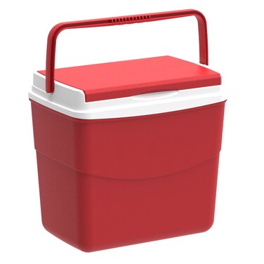 Picnic Icebox (20 L, 41 x 28 x 37 cm)