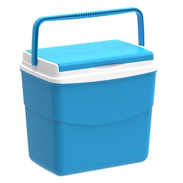 Picnic Icebox (30 L, 46 x 29 x 38 cm)
