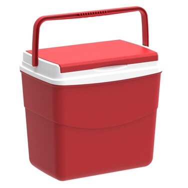 Picnic Icebox (30 L, 46 x 29 x 38 cm)