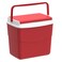 Picnic Icebox (30 L, 46 x 29 x 38 cm)