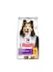 Hill's Science Plan Sensitive Stomach &amp; Skin Medium Adult Dog Food with Chicken 14 kg