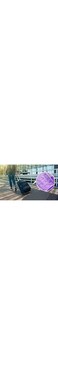 GulfDealz Home Durable Travel and picnic Portable Folding Clothes Drying Rack/Hanger (Pack of 5), Plastic Material - Purple