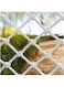 AWSAD Nylon Rope Safe Net Garden Plant Climbing Netting Balcony Window Deck Staircase Protection Fence, Customizable AWSAD (Color : 5cm mesh, Size : 3x3m(10x10ft))