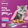 Whiskas Kitten Ocean Fish Flavor with Milk Dry Kitten Food, Bag of 1.1Kg