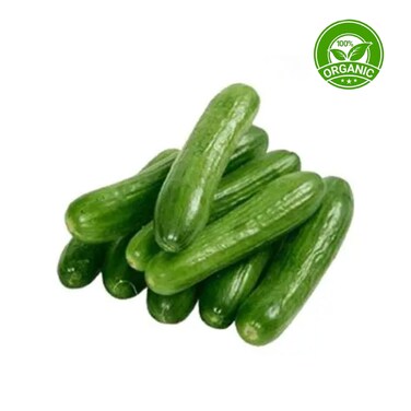 Organic Cucumber 1Kg