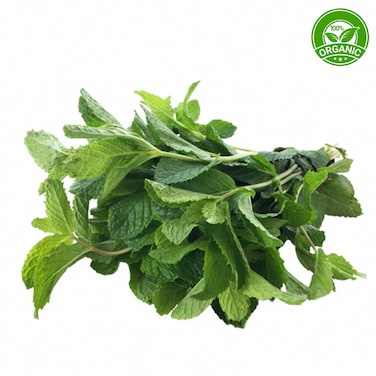 نعناع طازج عضوي 100 غرام