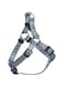 Bobby Geisha Baudrier Harness - Blue/Small