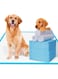 NC Pet Training Pads - 45 x 60cm (50 Count, M)