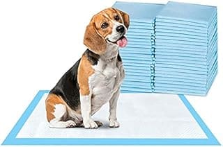 Dog Pee Pad, 100 Pieces 45x60cm Puppy Potty Training Pet Pads Puppy Pee Pads Disposable Absorbent Leak-Proof Quick Drying Dog Pads Super Absorbent & Leak-Free Pee Pads, M (Normal -100PCS--60*45)