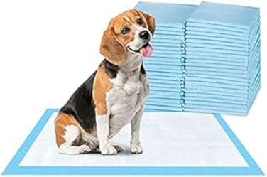 Dog Pee Pad, 100 Pieces 45x60cm Puppy Potty Training Pet Pads Puppy Pee Pads Disposable Absorbent Leak-Proof Quick Drying Dog Pads Super Absorbent &amp; Leak-Free Pee Pads, M (Normal -100PCS--60*45)