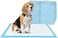 Dog Pee Pad, 100 Pieces 45x60cm Puppy Potty Training Pet Pads Puppy Pee Pads Disposable Absorbent Leak-Proof Quick Drying Dog Pads Super Absorbent &amp; Leak-Free Pee Pads, M (Normal -100PCS--60*45)
