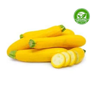 Organic Zucchini Green/Yellow