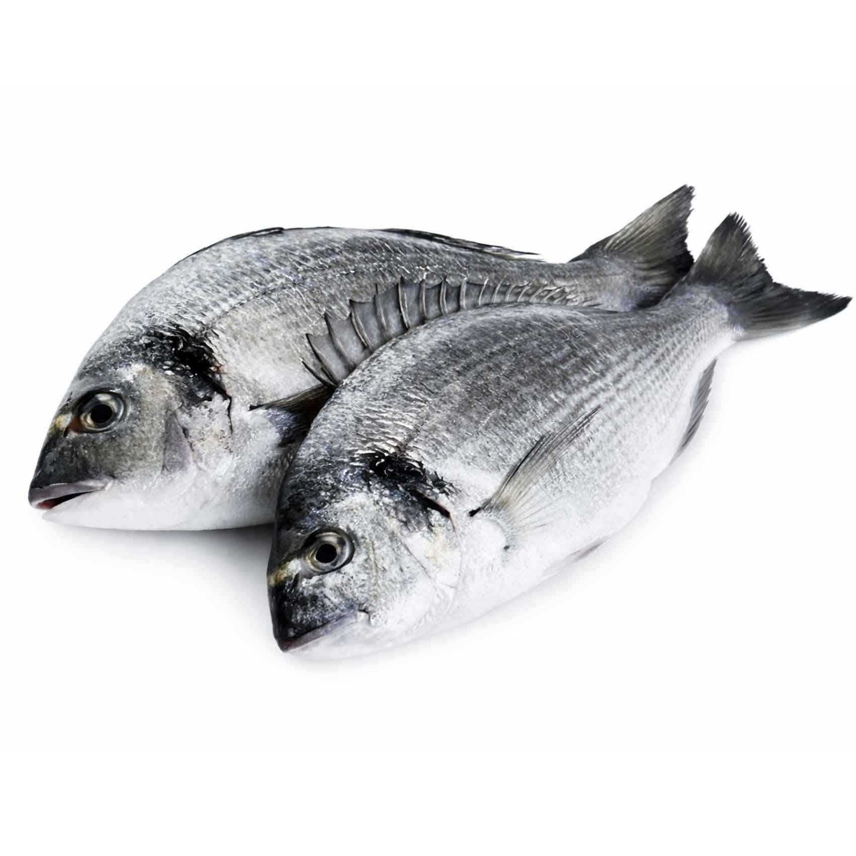 Buy Fresh Local Seabream Online | Carrefour UAE