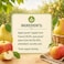 Carrefour Bio Organic Apple and Pear Fruit Pur&eacute;e No Added Sugar, 100g, Pack of 4