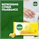 Dettol Fresh Antibacterial Skin Wipes, 40 Wipes