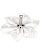 Harmony Serving Set of 12, White