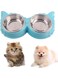 Rayyan Dog Cat Bowls,Stainless Steel Pet Double Bowl Food and Water Bowls with No-Spill No-Skid Silicone Mat, Pet Feeder Bowls Small Puppy Bowl for Small Dogs Cats(Blue,30x16x4.5cm)