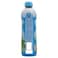 Carrefour Classic Zero Sugar Mint Syrup, 75cl
