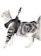 Cat Harness and Leash Set Ultra-Light Escape Proof Kitten Collar Cat Walking Jacket with Running Cushioning Soft and Comfortable Suitable for Puppies Rabbits (Grey, M)