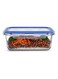 1500ml Glass Food Storage Airtight Containers with Lockable Snap on Side Clips Perfect for Home, Kitchen Prep, Office, School , Picnic and Travel Use - BPA-Free, Microwave Oven Safe, Dishwasher Safe and Fridge Safe