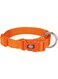 Trixie Premium Collar for Dogs PAPAYA SMALL