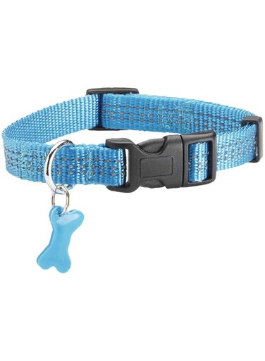 Bobby Safe Nylon Dog Collar, Blue (S)