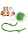 SKEIDO Electric Cat Ball Toys Automatic Rolling Ball Faux Tail Rechargeable Smart Pet Interactive Toy Dog Cat Training Imitate Mouse (Green)