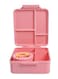 Bento Box Lunch Boxes Container Bundle Divider Japanese Style, Translucent Box, Microwave Safe (8.3X7.5X2.8 INCH)