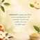 Carrefour Classic Apple Compote No Added Sugar, 710g
