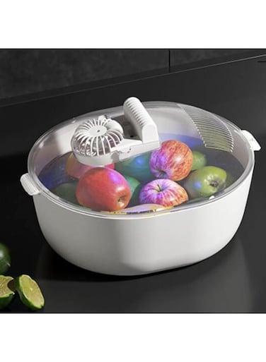 4 In 1 Food Thawing Defrosting Tray