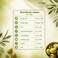 Carrefour Stoned Green Olives, 37cl