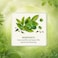 Carrefour Classic Green Tea with Mint, 25 Tea Bags, 40g