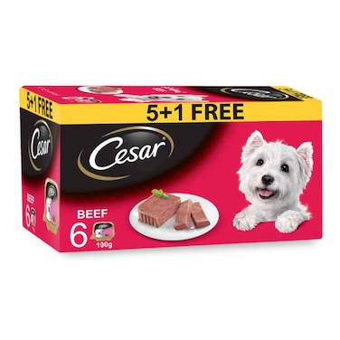 Cesar Dog Food, Beef Dog Wet Food, Tray of 6x100g