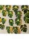 Monstera Leaf String Lights 2 Pack, 20 LED Tropical Artificial Rattan Palm Leaves Wall Hanging Vine Leaf, Summer Decoration for Outdoor Indoor Hawaiian Luau Party Jungle Beach Theme Party Decorations
