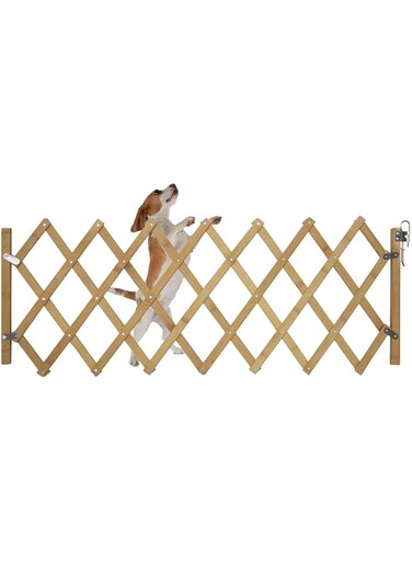 Rubik Door Safety Gate Retractable Isolation Fence for Dogs Pets for Doorway Stairs, Foldable Expandable Indoor Outdoor Use for Small Medium Pet Dog (Small, 40cm Height)