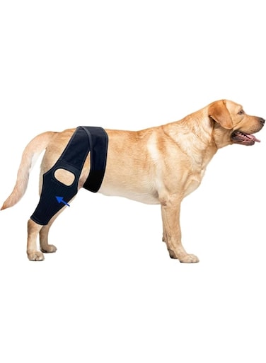 Dog Knee Brace with Side Stabilizers for Dog ACL, Adjustable Canine Shoulder Leg Hip Wraps for Arthritis &amp; Torn CCL, Wound Care &amp; Loss of Stability from Arthritis, Injury &amp; Sprain Protect&hellip; (Black, S)