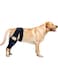 Dog Knee Brace with Side Stabilizers for Dog ACL, Adjustable Canine Shoulder Leg Hip Wraps for Arthritis &amp; Torn CCL, Wound Care &amp; Loss of Stability from Arthritis, Injury &amp; Sprain Protect&hellip; (Black, S)