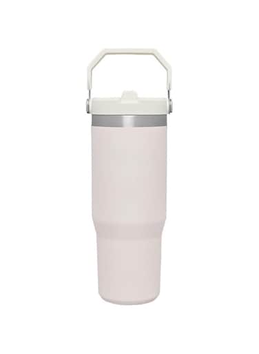 DESALOV Stainless Steel Vacuum Insulated Water Bottle with Straw for Travel, Home, Office or Car, Reusable Cup with Straw Leak Resistant Flip, 30OZ, Light Pink
