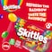Skittles Original Fruits Candy 198g