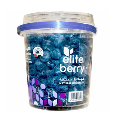 Blueberry Bucket 500g