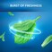 Oral-B Satin Floss Mint 25m