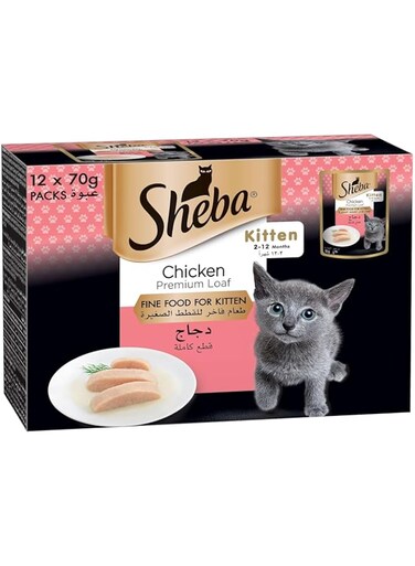 Sheba Premium Loaf Chicken, Kitten Food with Real Chicken Taste, Essential Vitamins Complementing Kittens&rsquo; Diet, this Sheba Wet Food is Made with Loaf Formula for Easier Chewing, Pack of 12x70g