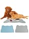 EWEIS 2 Pcs Non-Slip Dog Mat for Food and Water Bowls, Pet food Mat for Floor Waterproof Feeding Tray, Durable Foldable Floor Mats for Dogs, Food Grade Material for dog placemat（17" x 10"）