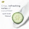 Dove Antiperspirant Stick, Cucumber &amp; Green Tea, 40ml
