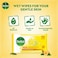 Dettol Fresh Antibacterial Skin Wipes, 10 Wipes Pack of 3